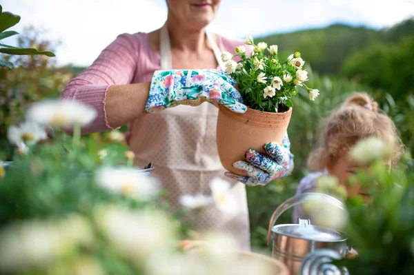 Senior grootmoeder met kleine kleindochter tuinieren op balkon in de zomer. — Stockfoto