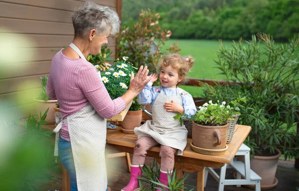 Anziani nonna con piccola nipote giardinaggio sul balcone in estate. — Foto Stock