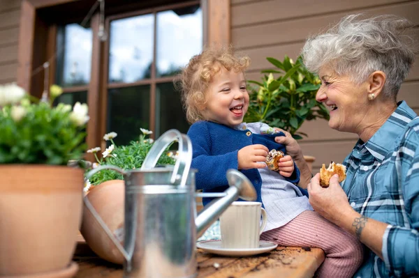 Abuela mayor con la jardinería nieta pequeña en el balcón en verano, comer. —  Fotos de Stock