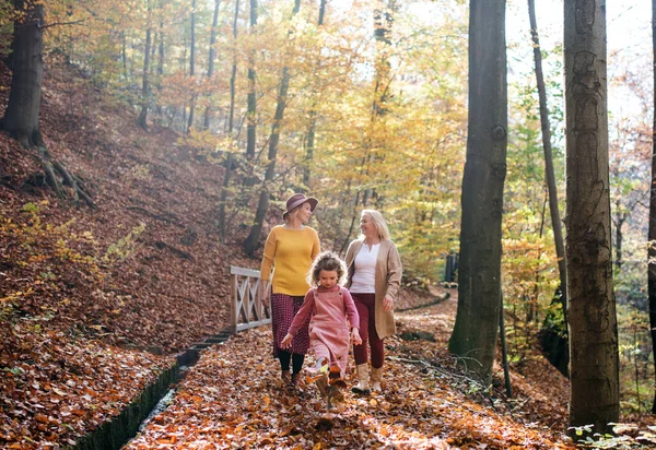 Liten flicka med mor och mormor på promenad i höstskogen. — Stockfoto