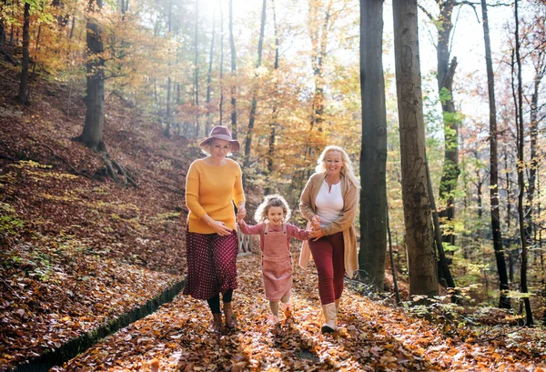 가을 숲 속을 산책하고 있는 어머니와 할머니와 함께 있는 어린 소녀. — 스톡 사진