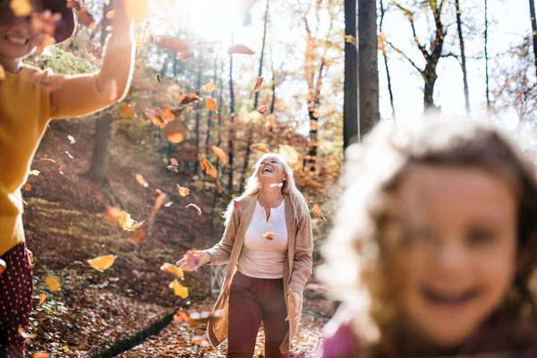 Piccola ragazza con madre e nonna in una passeggiata nella foresta autunnale, sezione centrale. — Foto Stock