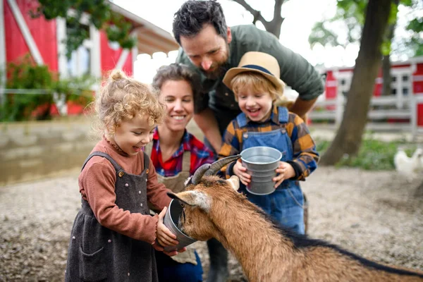 Portret van een gezin met kleine kinderen die op de boerderij staan en water geven aan geit. — Stockfoto