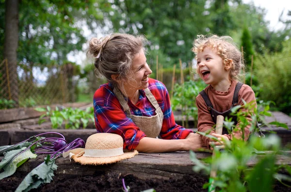 Mor med liten dotter trädgårdsskötsel på gården, odlar ekologiska grönsaker. — Stockfoto