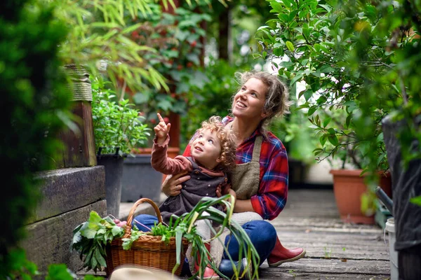 Madre con una pequeña hija de jardinería en la granja, el cultivo de verduras orgánicas. —  Fotos de Stock