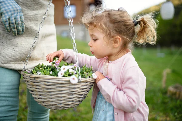 Oigenkännlig mormor med liten sondotter trädgårdsskötsel utomhus på sommaren. — Stockfoto