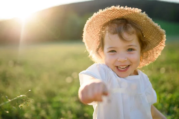 小さな幼児の女の子は屋外で夏に牧草地に立って、カメラを見て. — ストック写真