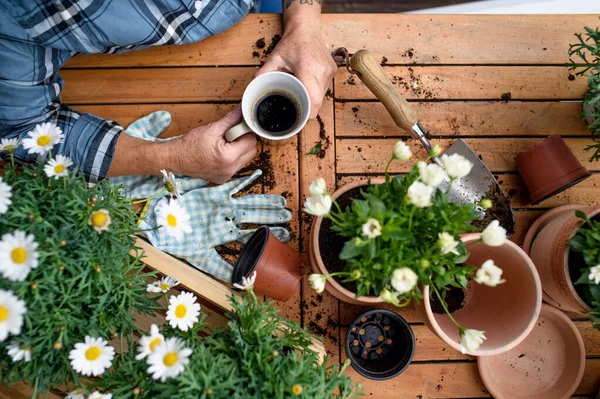 Top view of woman gardening on balcony in summer, drinking coffee. — Stock Photo, Image