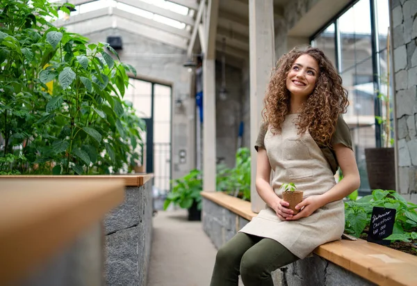 Mujer jardinero sentada en invernadero, sosteniendo una pequeña planta. — Foto de Stock