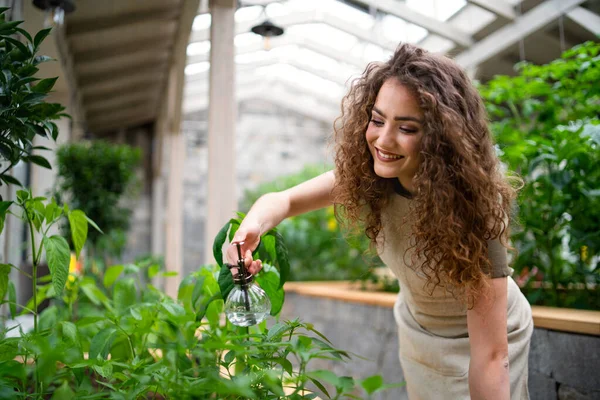 Mujer jardinero trabajando en invernadero, rociando plantas con agua. — Foto de Stock