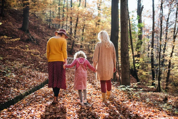 Вид сзади маленькой девочки с мамой и бабушкой на прогулку в осеннем лесу. — стоковое фото