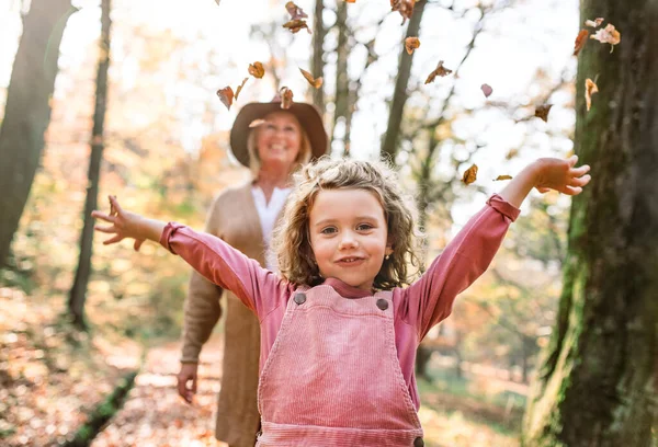 Sonbahar ormanında büyükannesiyle yürüyüşe çıkmış küçük bir kız, eğleniyor.. — Stok fotoğraf