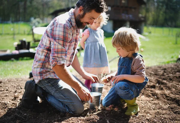 Apa kisgyerekekkel a szabadban dolgozik a kertben, fenntartható életmód koncepció. — Stock Fotó