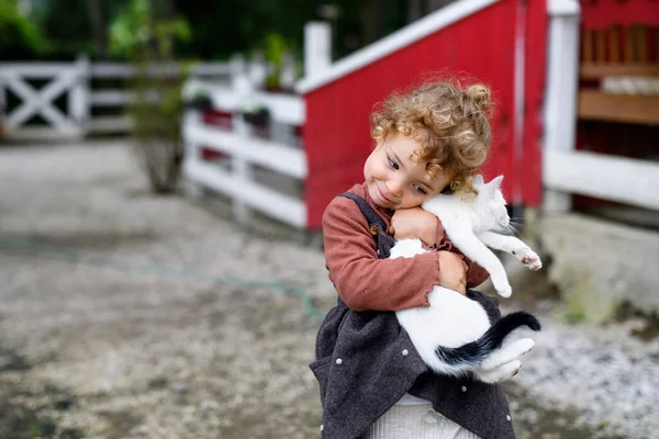 Liten flicka med katt stående på gården, leka. — Stockfoto