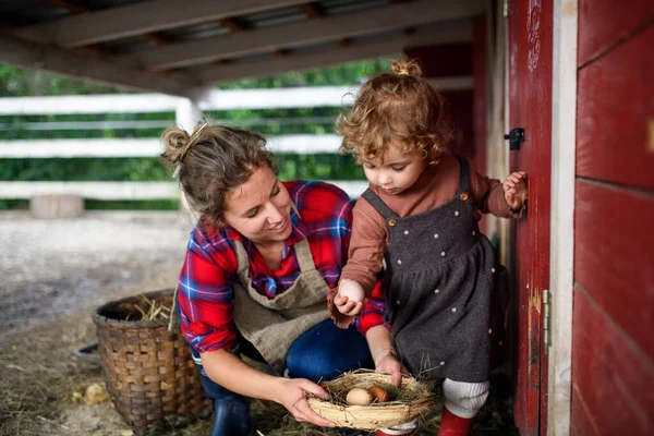 Портрет матері з маленькою донькою, що стоїть на фермі, тримає кошик з яйцями . — стокове фото