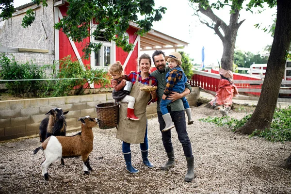 Portret rodziny z małymi dziećmi stojącymi na farmie, trzymający koszyk z jajkami. — Zdjęcie stockowe