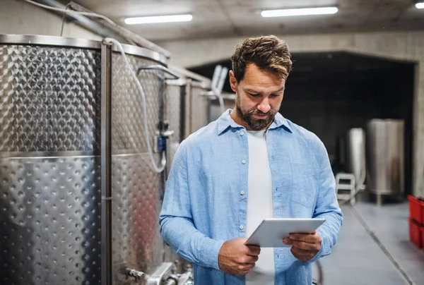 Man werknemer met tablet binnen, wijn maken concept. — Stockfoto