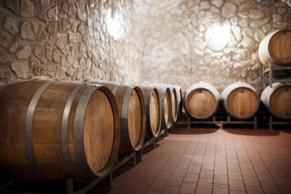 Barils en cave, concept de vinification. Espace de copie. — Photo