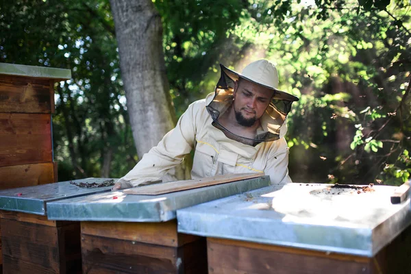アピアで働く養蜂家の肖像. — ストック写真