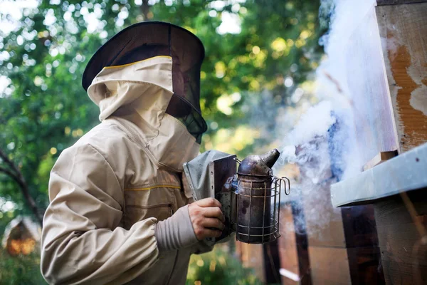 Retrato del apicultor trabajando en colmenar, utilizando abeja fumadora. — Foto de Stock