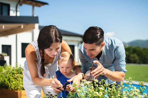Keluarga muda dengan anak kecil di luar rumah di kebun belakang, penyemprotan tanaman. — Stok Foto