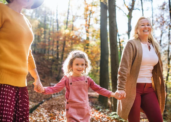 Annesi ve büyükannesiyle birlikte sonbahar ormanında yürüyüşe çıkmış küçük bir kız.. — Stok fotoğraf