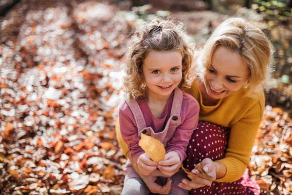 Horní pohled na malou holčičku s matkou na procházce v podzimním lese. — Stock fotografie