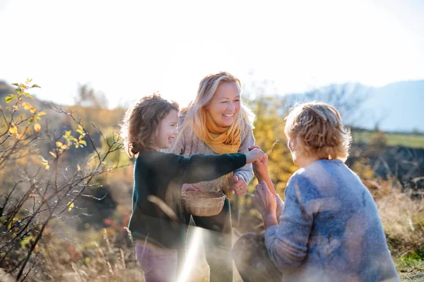 Small girl with mother and grandmother collecting rosehip fruit in autumn nature. — Stock Photo, Image