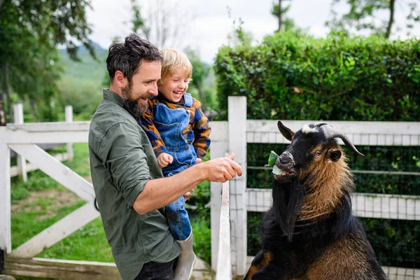 Portrait of father with small son standing on farm, feeding goat. — Stock Photo, Image