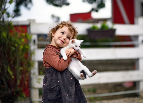 Liten flicka med katt stående på gården, tittar på kameran. — Stockfoto