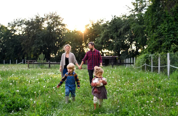 Porträt einer Familie mit kleinen Kindern, die auf einem Bauernhof spazieren geht und sich ausruht. — Stockfoto