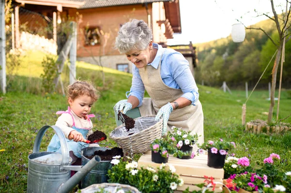 Seniorin mit kleiner Enkelin gärtnert im Sommer im Freien. — Stockfoto