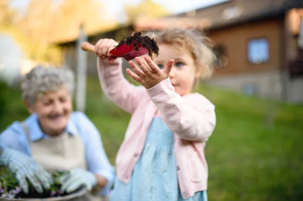 Mała dziewczynka z starszą wnuczką ogrodnictwo na świeżym powietrzu w lecie. — Zdjęcie stockowe