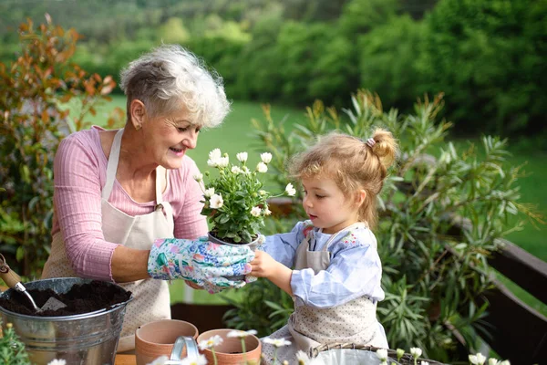 Anziani nonna con piccola nipote giardinaggio sul balcone in estate. — Foto Stock