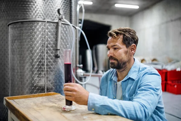 Uomo operaio che lavora al chiuso in cantina, concetto di enologia. — Foto Stock