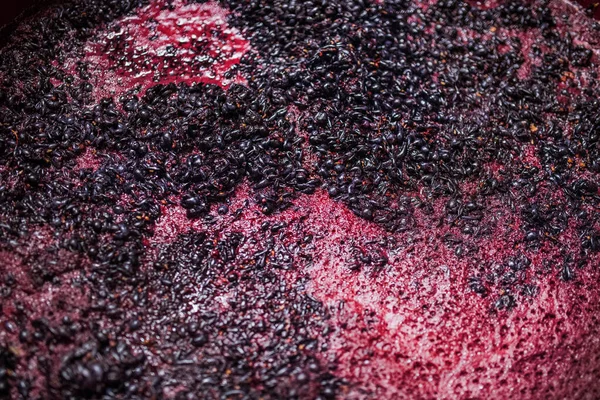 Fermentação do mosto de uvas, conceito de vinificação. Vista superior. — Fotografia de Stock