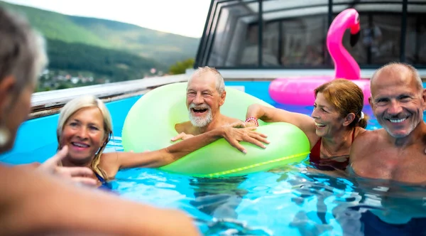 Grupo de personas mayores alegres en la piscina al aire libre en el patio trasero, hablando. — Foto de Stock