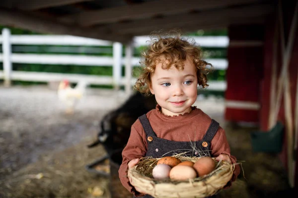 Porträt eines kleinen Mädchens, das auf einem Bauernhof steht und einen Korb mit Eiern hält. — Stockfoto
