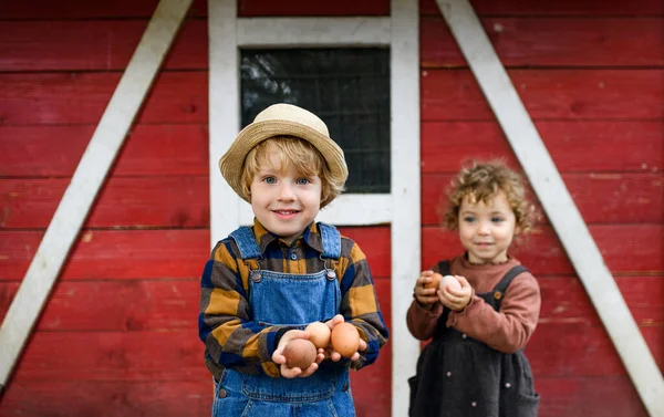 Portrait of small children standing on farm, holding eggs. — Stock Photo, Image