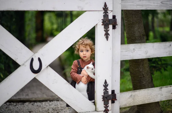 Klein meisje met kat staan op de boerderij, op zoek naar camera. — Stockfoto