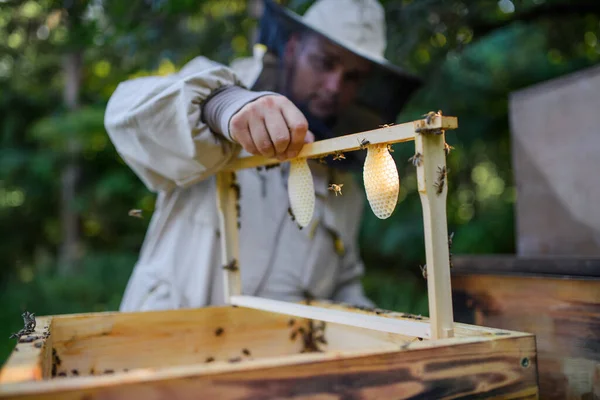 Portret van een menselijke imker met nieuw honingraatframe in bijenstal. — Stockfoto