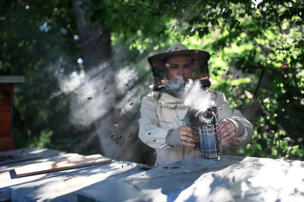 Portrait of man beekeeper working in apiary, holding bee smoker. — Stock Photo, Image