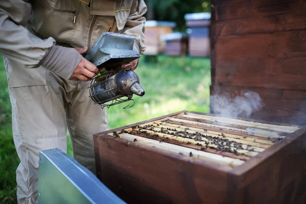 Homme apiculteur méconnaissable travaillant dans un rucher, utilisant un fumeur d'abeilles. — Photo