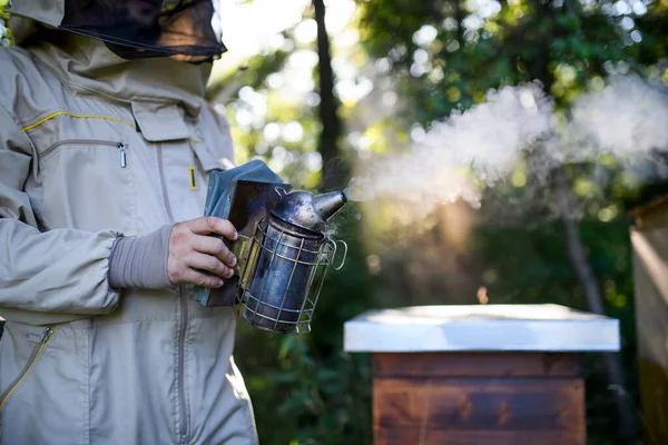 Nerozpoznatelný muž včelař pracující ve včelíně, používající včelí kuřák. — Stock fotografie