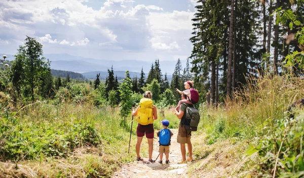 夏の自然の中で屋外でハイキングをする小さな子供連れの家族のリアビュー. — ストック写真