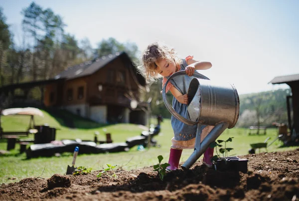 Bahçede sulanan küçük kız, sürdürülebilir yaşam tarzı konsepti.. — Stok fotoğraf