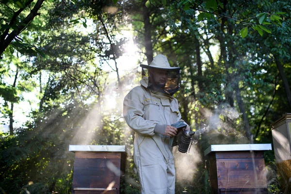 養蜂家が養蜂に従事している姿を蜂の喫煙者を使って. — ストック写真