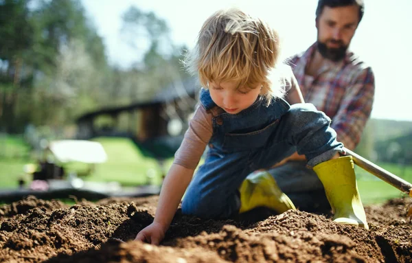 Padre con piccolo figlio che lavora all'aperto in giardino, concetto di stile di vita sostenibile. Fotografia Stock