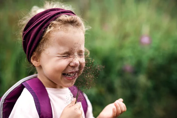Portret de fetiță mică în aer liber în natură de vară, gâdilare față cu iarbă . — Fotografie, imagine de stoc