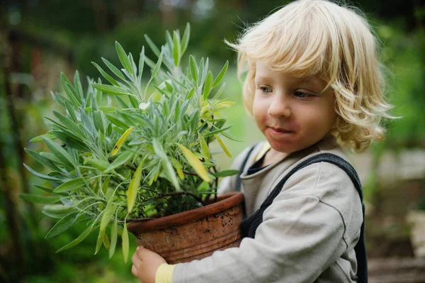 Retrato de niño pequeño con eczema parado al aire libre, sosteniendo planta en maceta. — Foto de Stock